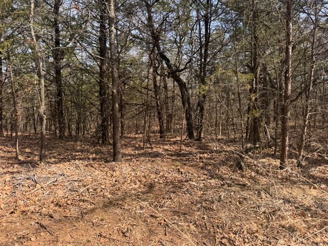 6484 State Highway 56, Bells, TX 75414