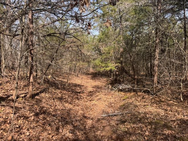 6484 State Highway 56, Bells, TX 75414