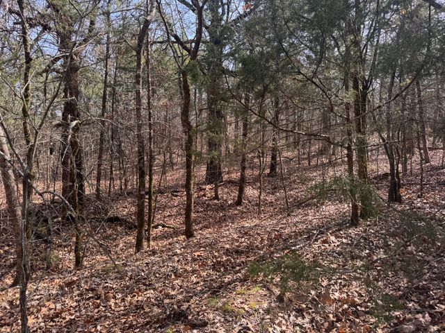 6484 State Highway 56, Bells, TX 75414