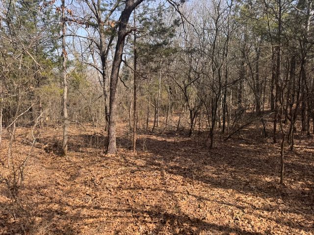 6484 State Highway 56, Bells, TX 75414