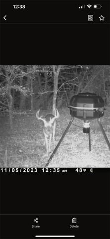 6484 State Highway 56, Bells, TX 75414