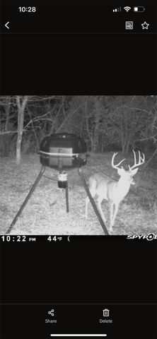 6484 State Highway 56, Bells, TX 75414