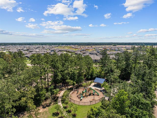 739 Hackberry Branch Court, Magnolia, TX 77354