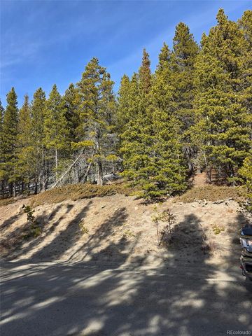 Lot 680 Alice Road, Idaho Springs, CO 80453