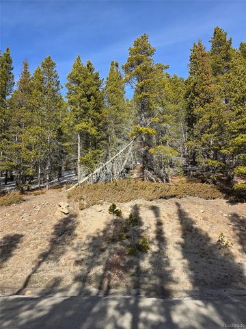 Lot 680 Alice Road, Idaho Springs, CO 80453