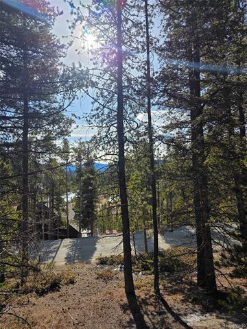 Lot 680 Alice Road, Idaho Springs, CO 80453