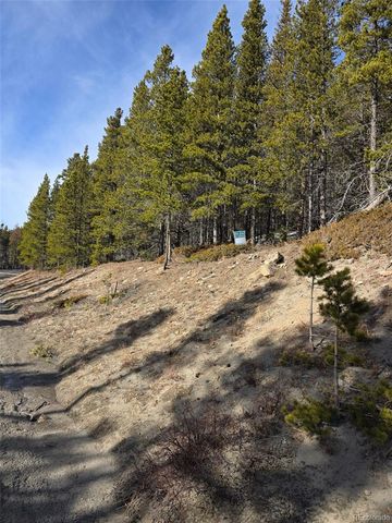 Lot 680 Alice Road, Idaho Springs, CO 80453