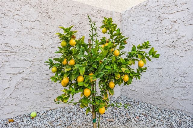 2433 Cliffwood Drive, Henderson, NV 89074