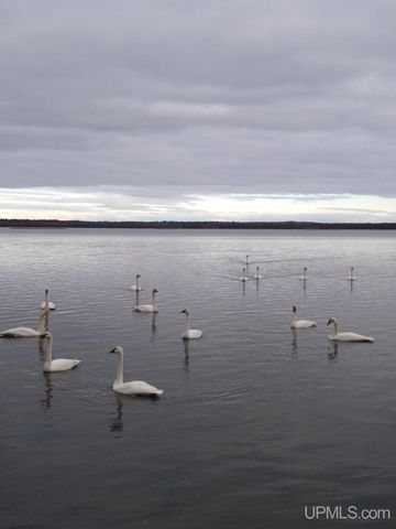 14038 24.5 Lane, Rapid River, MI 49878