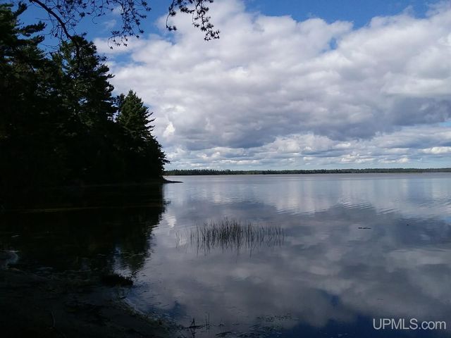 14038 24.5 Lane, Rapid River, MI 49878