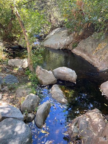 204 Tillie Creek Road, Wofford Heights, CA 93285