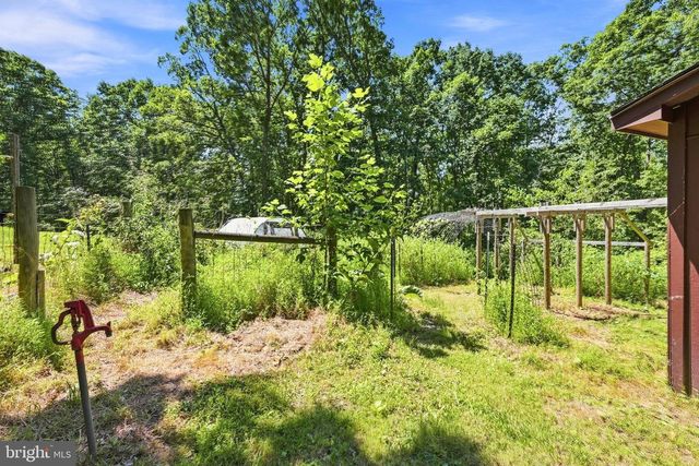 558 CATRON RIDGE RD, Bentonville, VA 22610