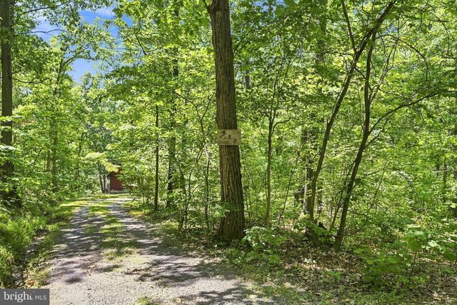 558 CATRON RIDGE RD, Bentonville, VA 22610