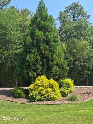 7 Bobolink Road, Jackson Springs, NC 27281