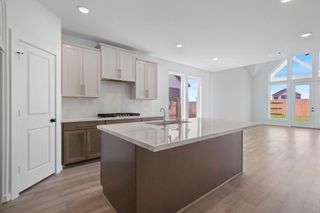 24902 Groundsel Cottage Lane, Katy, TX 77493