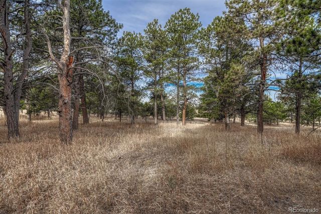 16511 Early Light Drive, Colorado Springs, CO 80908