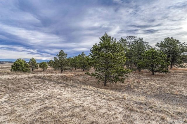 16511 Early Light Drive, Colorado Springs, CO 80908