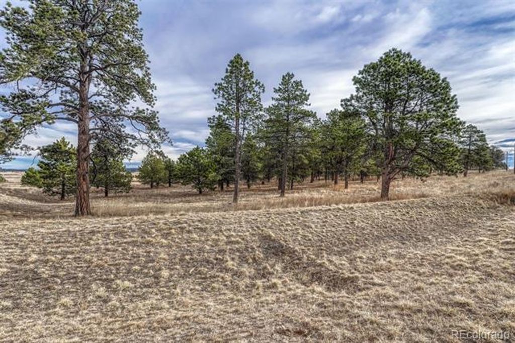 16511 Early Light Drive, Colorado Springs, CO 80908