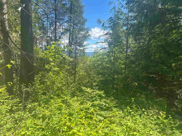 00 N Foster Ln, Cusick, WA 99180