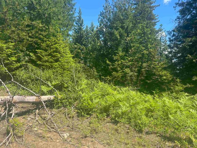 00 N Foster Ln, Cusick, WA 99180