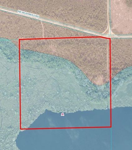 17830 NE 49TH STREET ROAD, Silver Springs, FL 34488