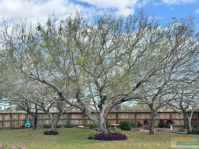 13 Pebble Beach Dr, Laguna Vista, TX 78578