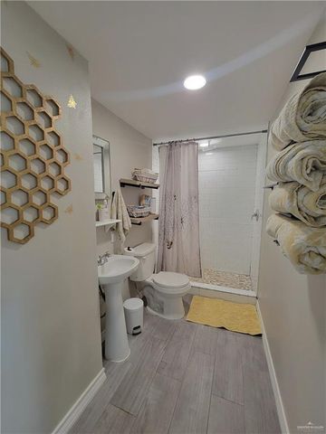 8544 Lago Vista Drive, Monte Alto, TX 78538