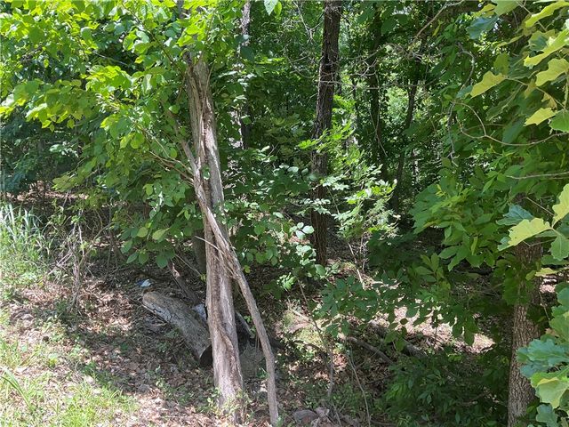 TBD Mayfair Drive, Bella Vista, AR 72715