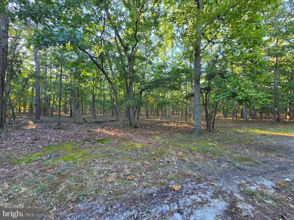 2 RED ONION CT #0, TABERNACLE, NJ 08088 — exterior