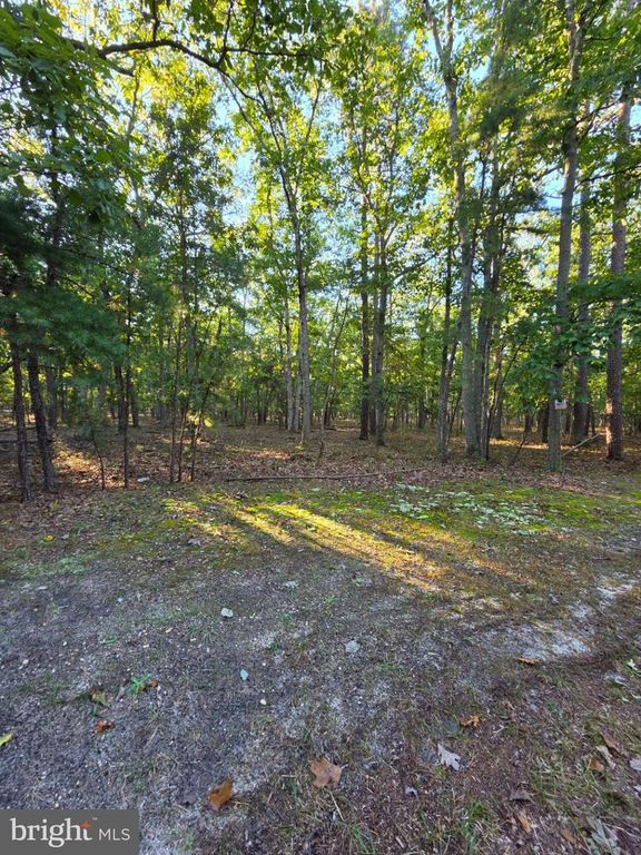 2 RED ONION CT #0, TABERNACLE, NJ 08088 — photo 2