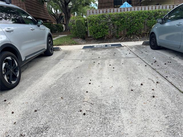 5361 ELM COURT 330, Orlando, FL 32811