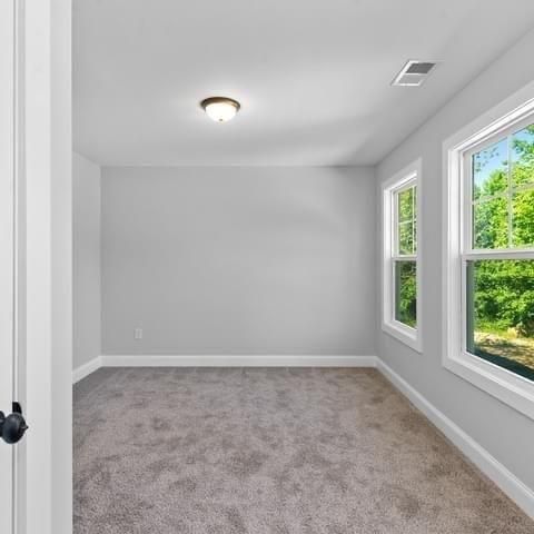 321 Birchwood Farms Lane, Dallas, GA 30132