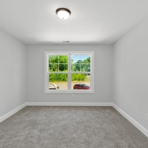 321 Birchwood Farms Lane, Dallas, GA 30132