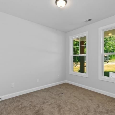 321 Birchwood Farms Lane, Dallas, GA 30132