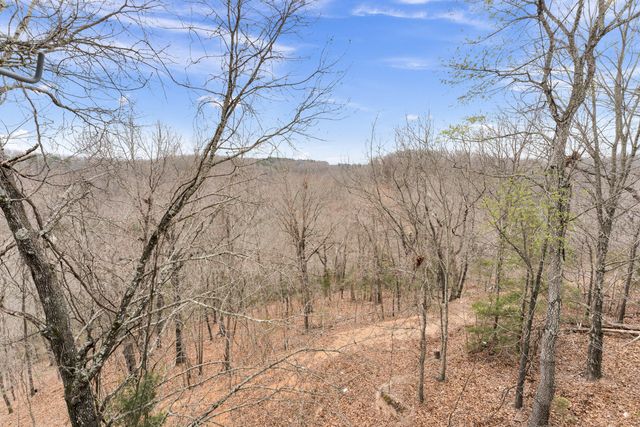 26 Sinatra Court 8, Branson West, MO 65737