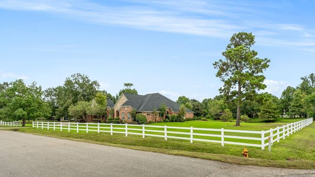 12027 Water Oak Drive, Magnolia, TX 77354