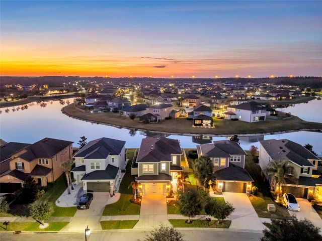 29011 TREVI PLACE, Wesley Chapel, FL 33543