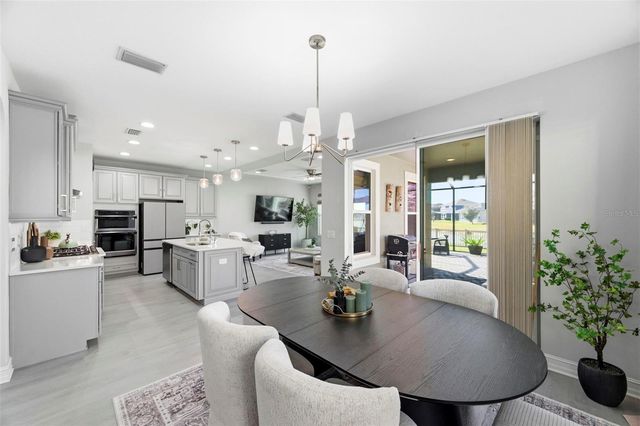 29011 TREVI PLACE, Wesley Chapel, FL 33543