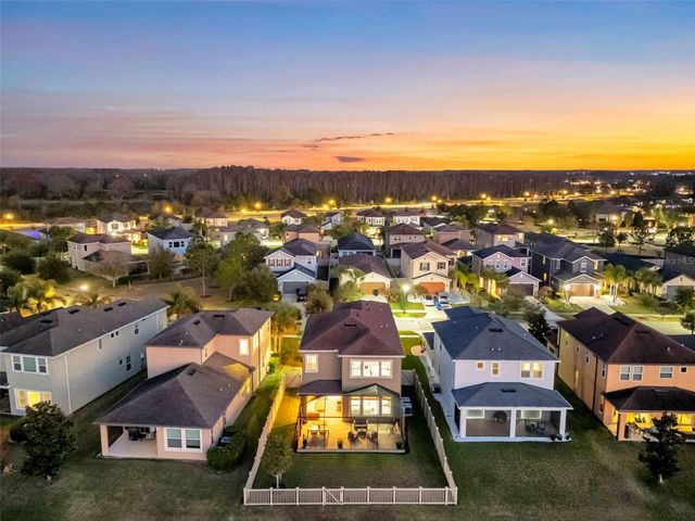 29011 TREVI PLACE, Wesley Chapel, FL 33543