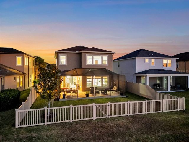 29011 TREVI PLACE, Wesley Chapel, FL 33543