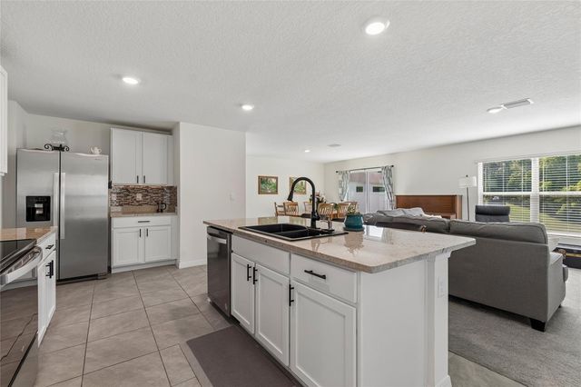 13756 WHISKEY DAISY DRIVE, Dade City, FL 33525