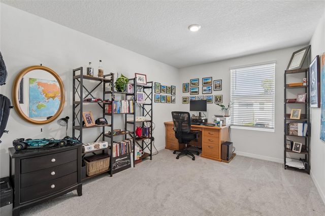 13756 WHISKEY DAISY DRIVE, Dade City, FL 33525