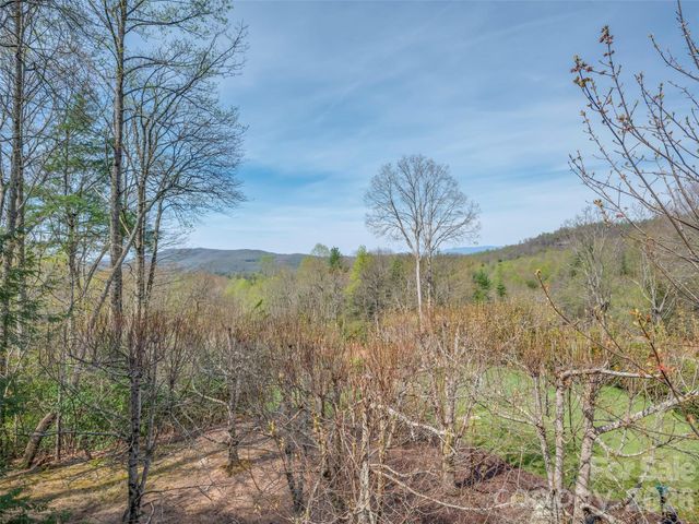 4 Wild Ivy Run, Hendersonville, NC 28739