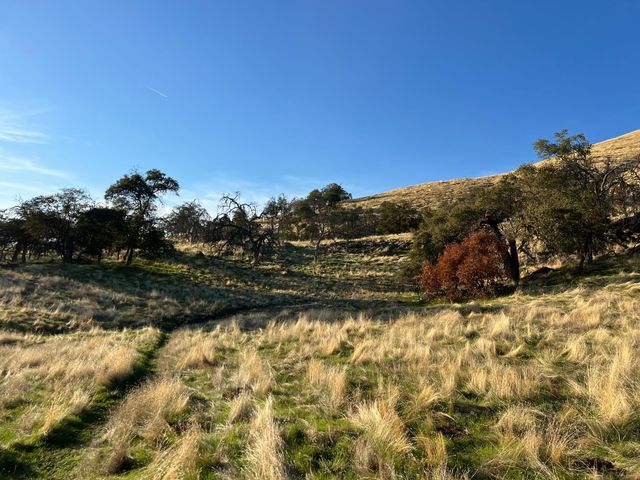 0 Seminole Road, Tollhouse, CA 93667