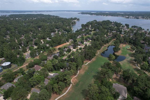 3138 Pine Chase Drive, Montgomery, TX 77356