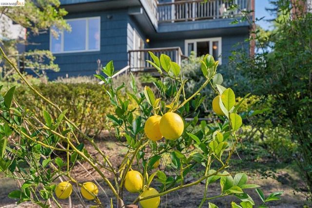 155 Avenida DR, Berkeley, CA 94708