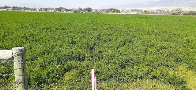 27 Sugar Beet Row, Whitehall, MT 59759