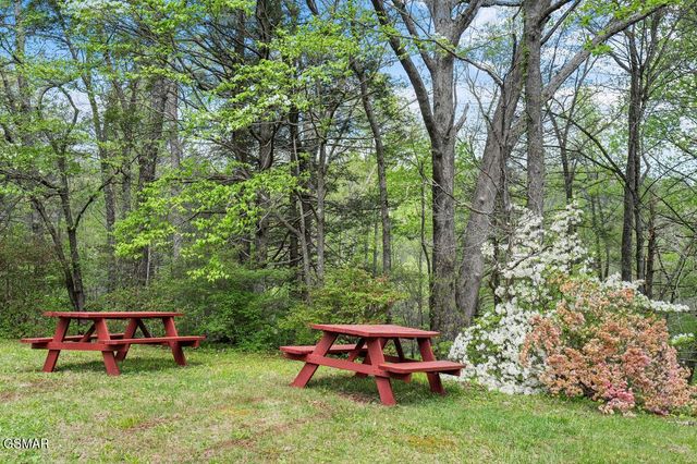 150 Hollow Road, Cosby, TN 37722
