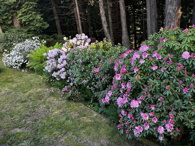 1220 Vista Drive, Eureka, CA 95503