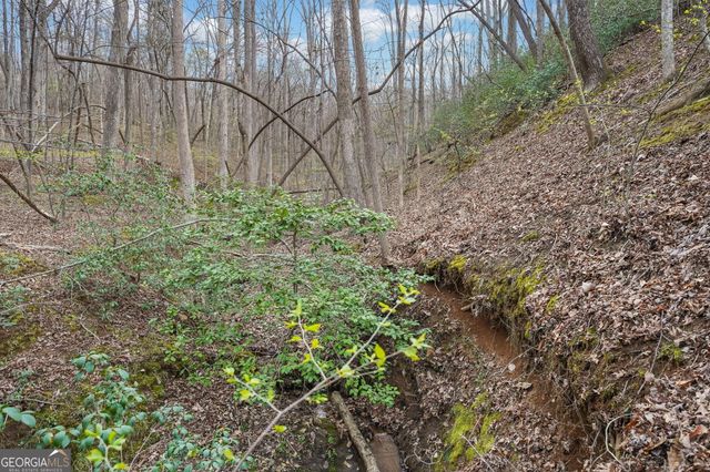 41A&42 Madeline Anthony Road, Dahlonega, GA 30533